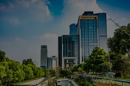 Skyline Aranyam